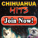 Get Traffic to Your Sites - Join ChihuaHua Hits